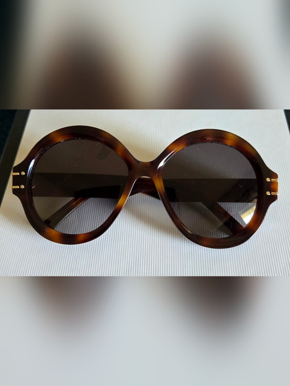 Dior DiorSignature R1U 26A1 Sunglasses